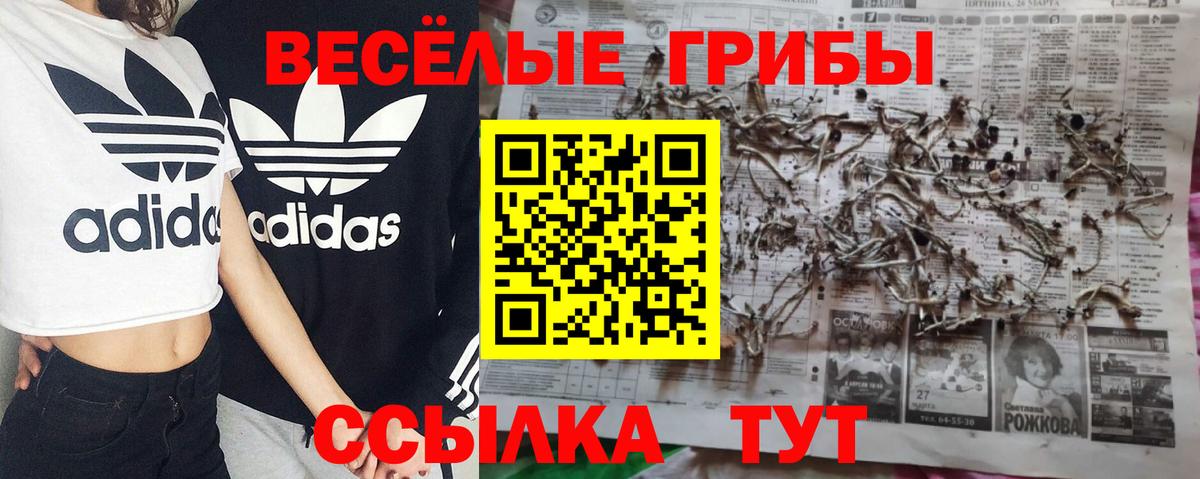 Псилоцибиновые грибы GOLDEN TEACHER  Вход с VPN  где можно купить наркотик  Химки  Псилоцибиновые грибы прущие грибы 